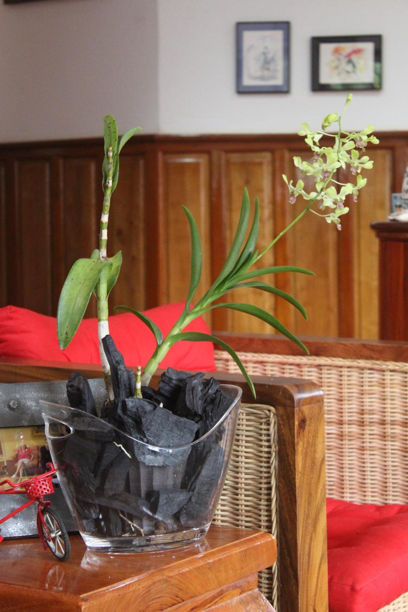 Villa B.Maison D'Hotes Angkor เสียมราฐ ภายนอก รูปภาพ